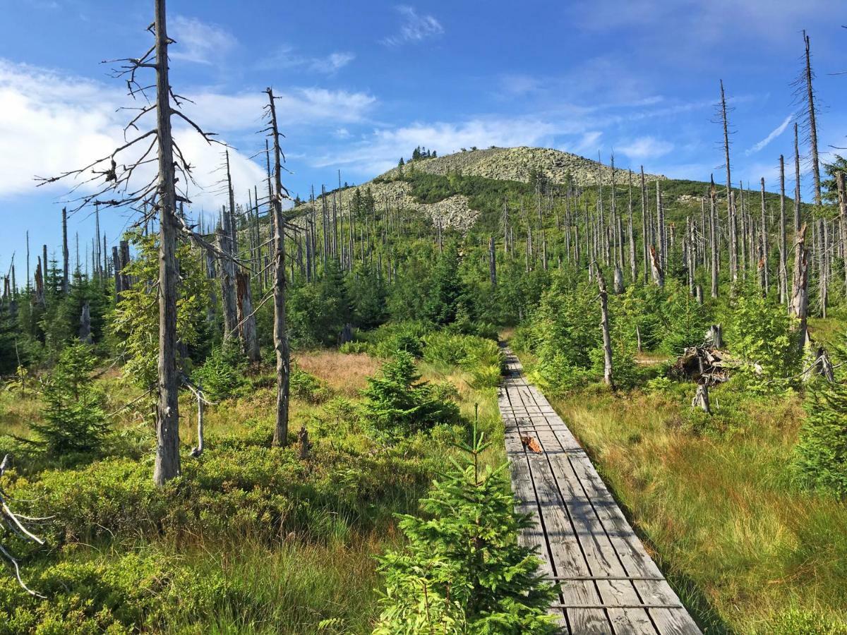 Ferienwohnung Fernblick Neukirchen vorm Wald Exteriér fotografie